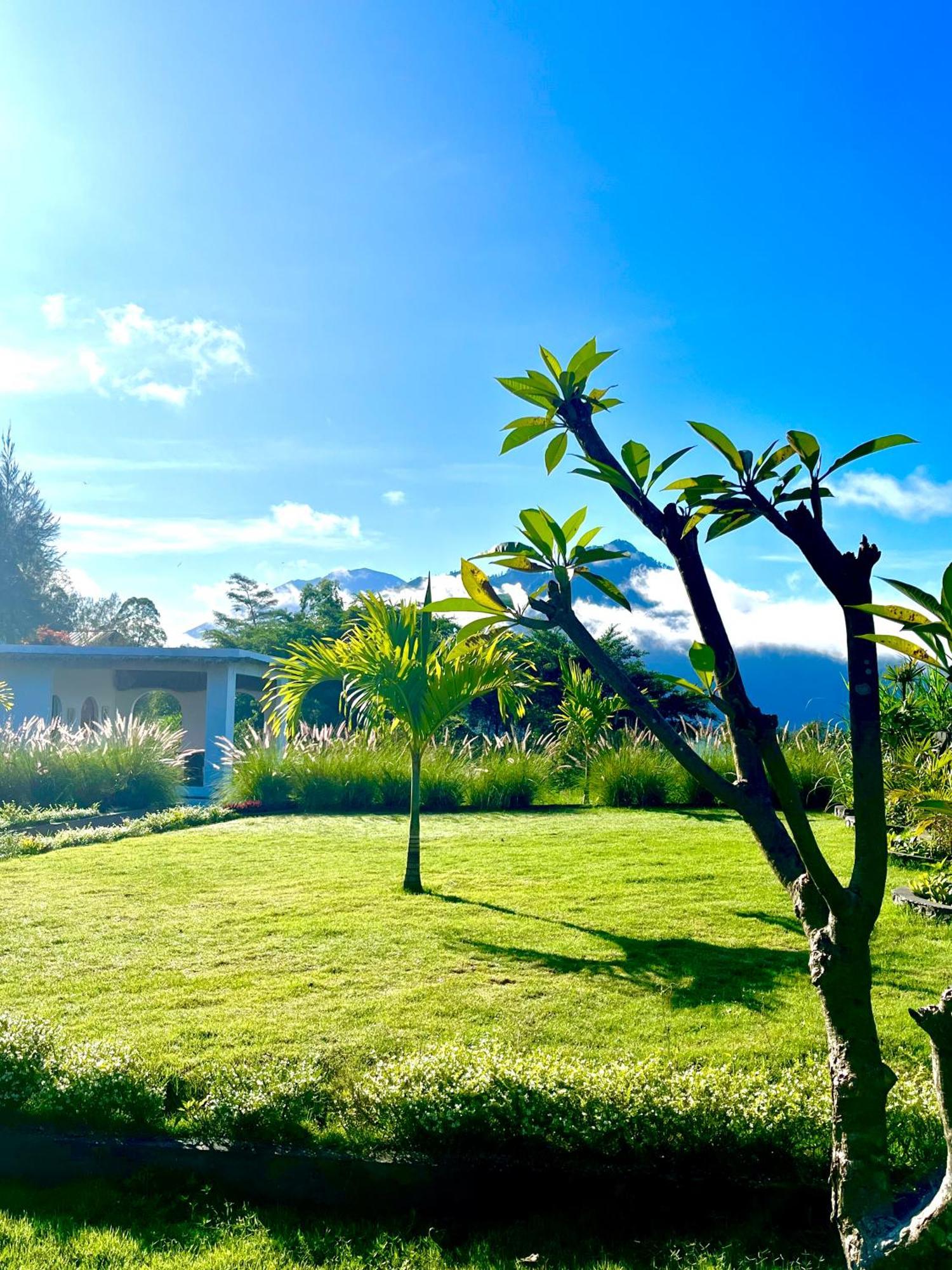 クブペンロカン Hillside Bali Bed & Breakfast エクステリア 写真